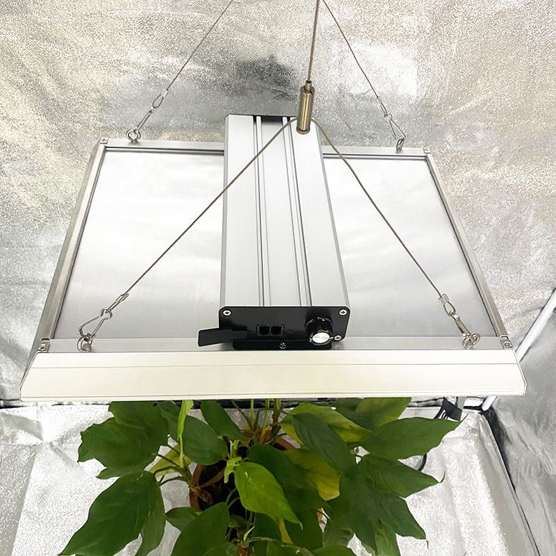 Agricultural Professional Led Grow Light for Tomatoes