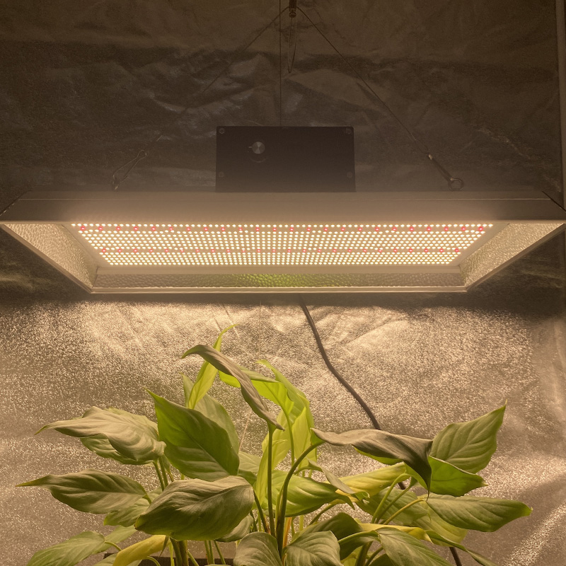 Garden 400 Watt Led Grow Light for Pot Plants