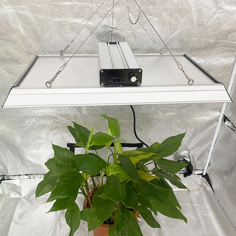 Professional 200w Led Grow Light for Pot Plants
