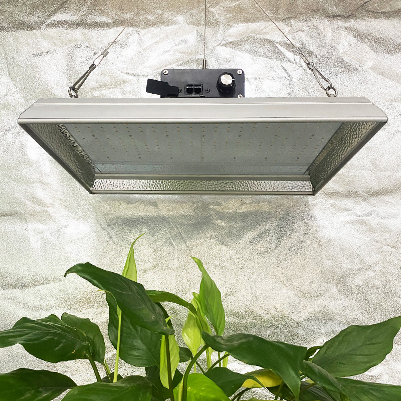 Horticultural 100w Led Grow Light for Tropical Plants