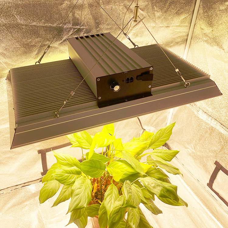 Professional 400 Watt Led Grow Light for Chillies