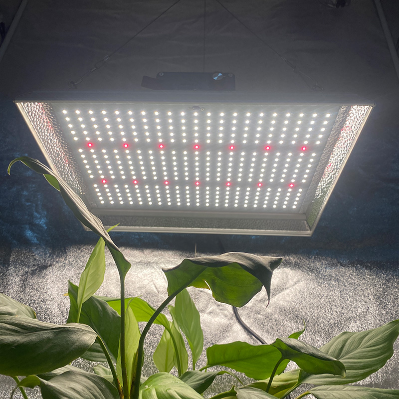 Full Spectrum 100w Led Grow Light for Pot Plants