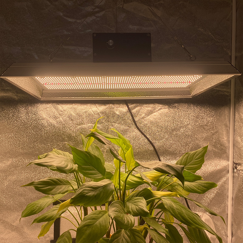 Hydroponic 400 Watt Led Grow Light for Pot Plants