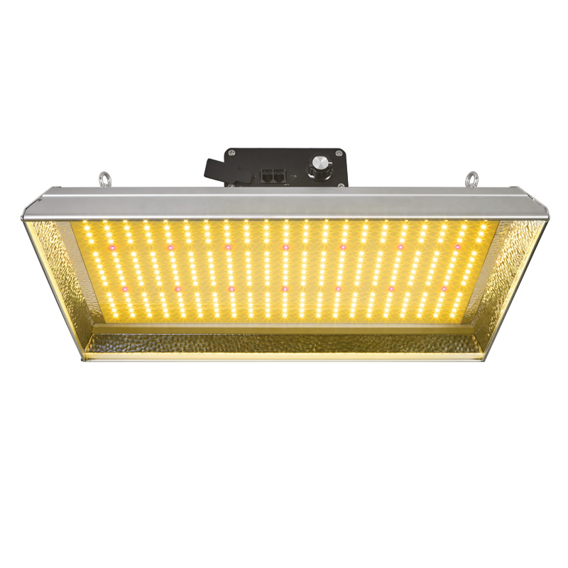 Horticultural 100w Led Grow Light for Chillies