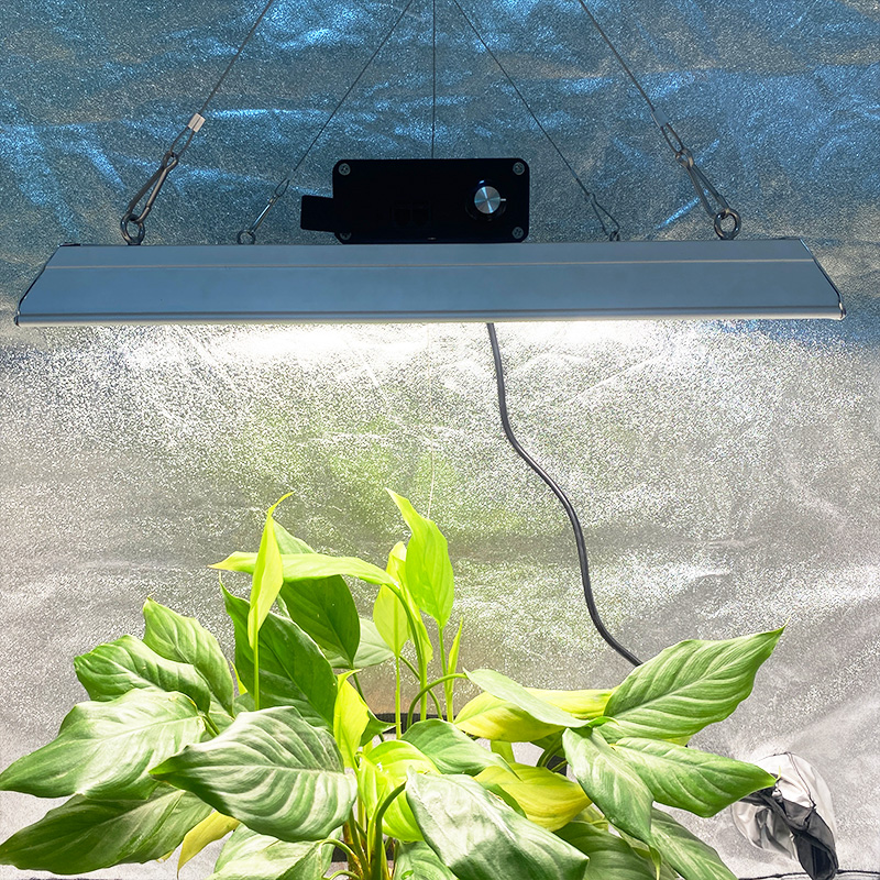 Full Spectrum 100w Led Grow Light for Tropical Plants