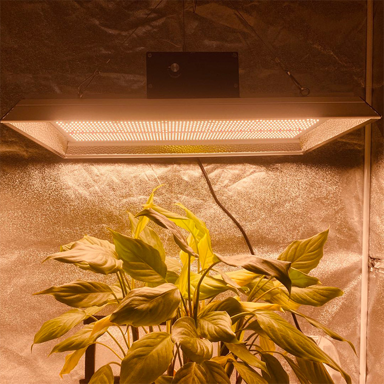 Full Spectrum 400 Watt Led Grow Light for Pot Plants